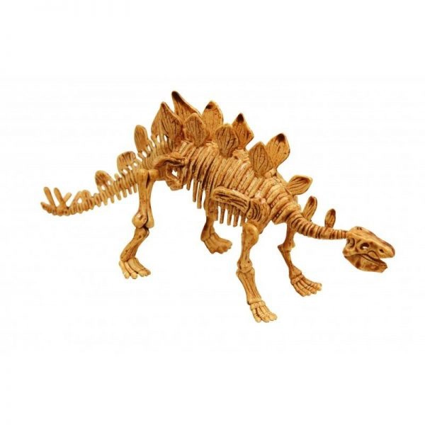 בוקי - ערכת ארכיאולוגיה לחפירת שלד דינוזאור - סטגוזאורוס