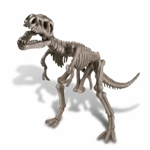 חפירת שלד דינוזאור TREX