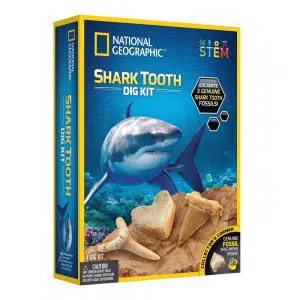 ערכת חפירה וארכיאולוגיה – שיני כריש - נשיונל ג'יאוגרפיק