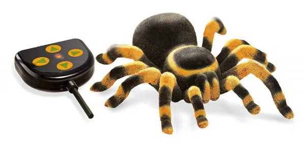 עכביש טרנטולה עם שלט - בוקי