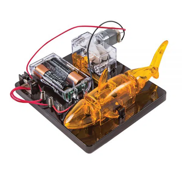 בניית רובוט - דג חשמלי