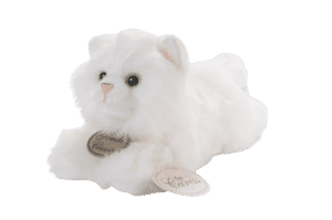 יומיקו - חתול לבן באורך כ-40 ס"מ