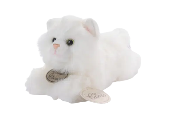 יומיקו - חתול לבן באורך כ-40 ס"מ