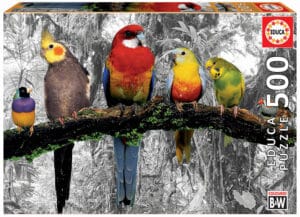 EDUCA - פאזל 500 חלקים - ציפורים בג'ונגל